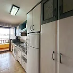 Abetos - 6038