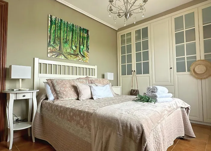 Abetos - 6038 * نوخا