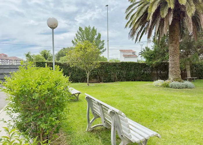 Abetos - 6038 نوخا